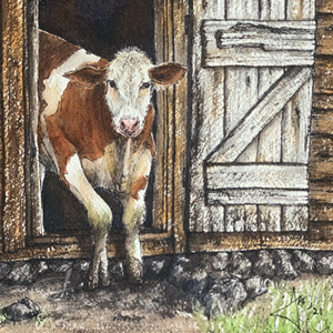 Cow in the shed