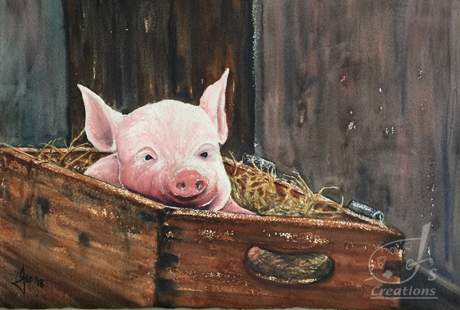 Piggy in a Box