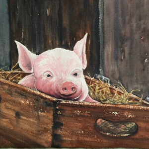 Piggy in a Box