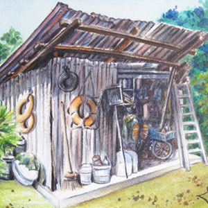 A Rustic Shed