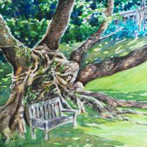 The Johore Fig Tree